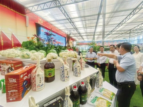 2025中國榆中高原夏菜新品博覽會(huì)盛大開幕，1087個(gè)新品種引領(lǐng)農(nóng)業(yè)創(chuàng)新